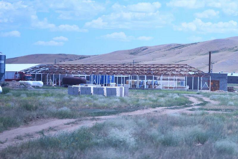 В Бухар-Жырауском районе наращивают производство молочной продукции