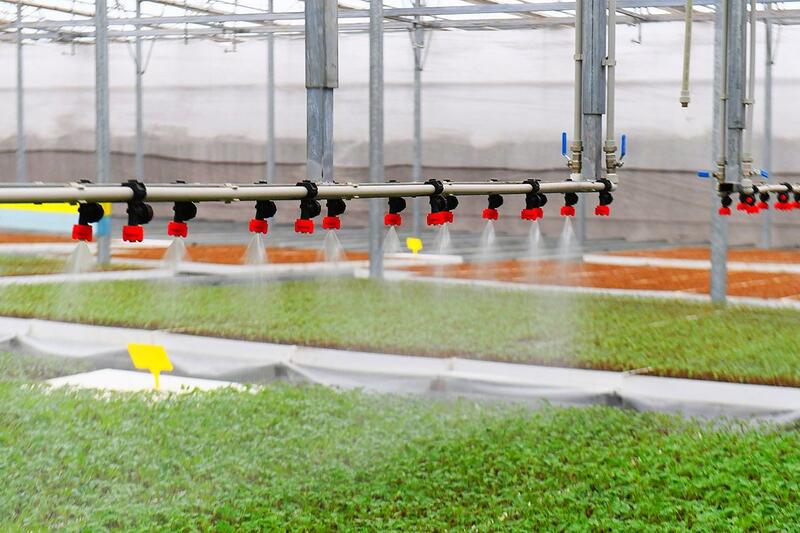 АПК Туркестанской области показывает высокие темпы развития