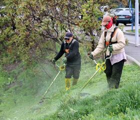 «Тазабек выходит в город»: в Алматы запускают экологическую инициативу «Таза сана»