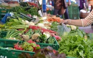 В столице пройдет праздничная городская сельскохозяйственная ярмарка