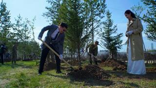 Сосны, яблони, груши: в районе Байконыр появится новый зелёный лес