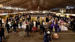 Сделано в СКО: 800 тонн фермерских продуктов привез регион на ярмарку в Астане