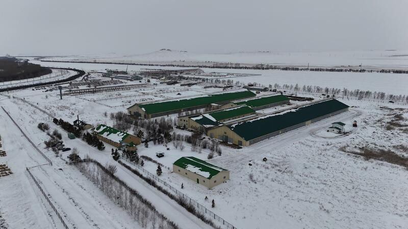 В Бурабайском районе ведется строительство крупной молочно-товарной фермы и завода по переработке молока