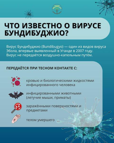 Эбола: что важно учитывать при поездках за границу