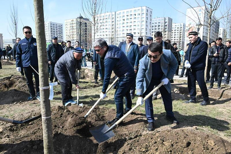 Аким Алматы принял участие в посадке деревьев в рамках празднования Наурыза