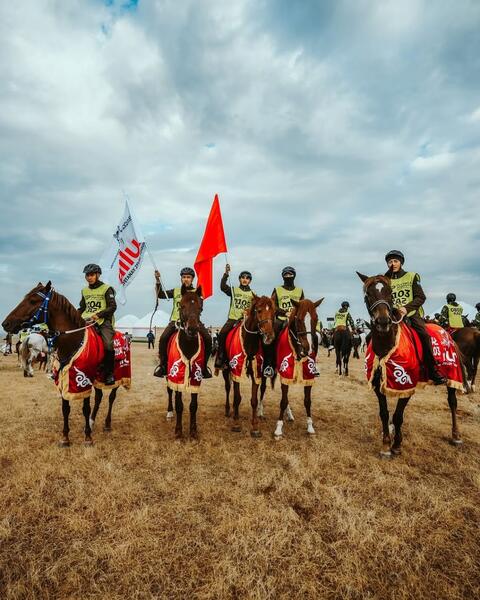 «Ұлы дала жорығы-2025»: победу одержали лошади костанайской породы из Астаны