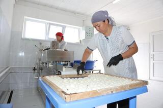 Более 2,5 тыс. человек работают в сфере переработки сельхозпродукции в Жамбылской области