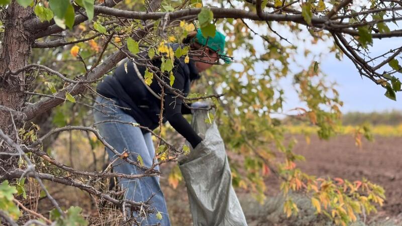 В Казахстане прошла масштабная экологическая акция World Cleanup Day