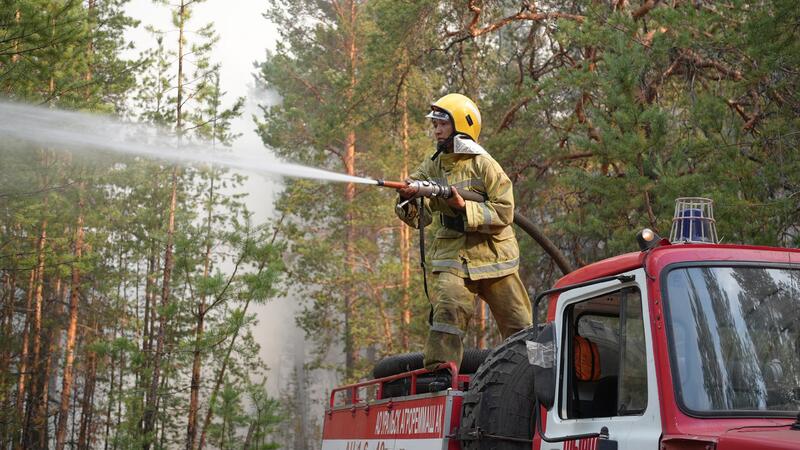 Лесной пожар на территории ГЛПР «Семей орманы» локализован