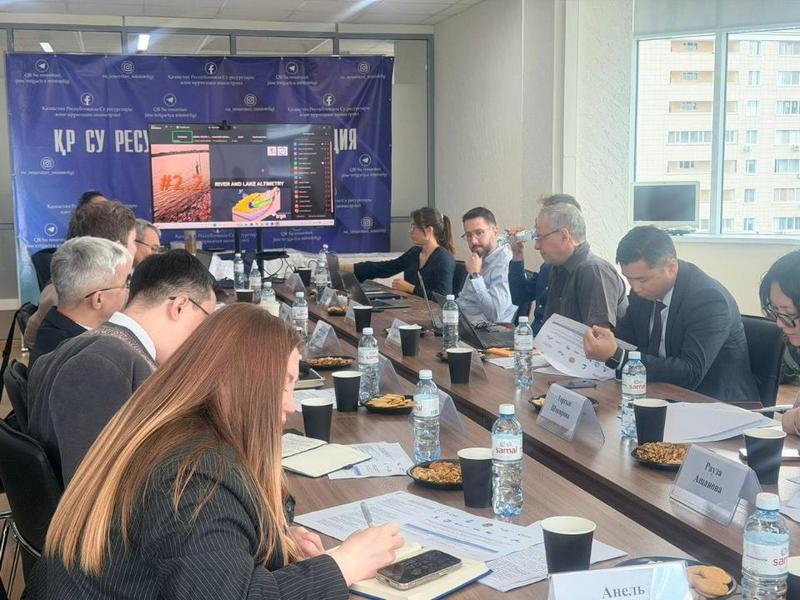 Казахстан и Франция разрабатывают стратегию сохранения озера Балхаш