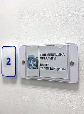 Телемедицина пришла в 117 сельских населённых пунктов Карагандинской области