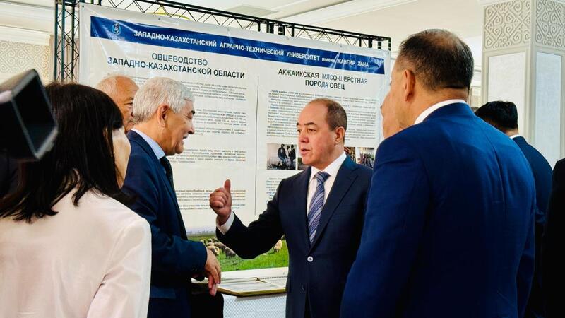 В Уральске стартовал первый Международный форум «AUYL FEST. Овцеводство – 2025»