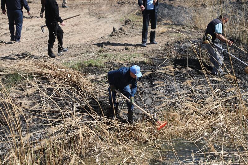ТУРКЕСТАН: В САРЫАГАШЕ В РАМКАХ ЭКОЛОГИЧЕСКОЙ АКЦИИ «МӨЛДІР БҰЛАҚ» ОЧИЩЕНО 15 КИЛОМЕТРОВ КАНАЛОВ И АРЫКОВ