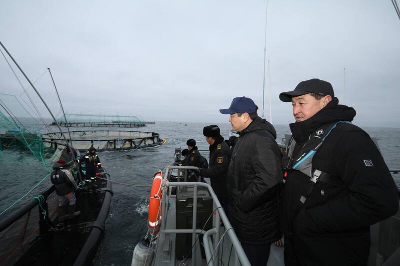 В Мангистау реализуется первый в Центральной Азии проект морской аквакультуры