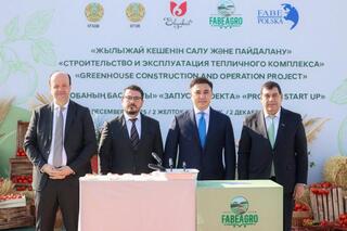 Тепличный комплекс мощностью 36 тыс. тонн овощей в год построят в Шымкенте