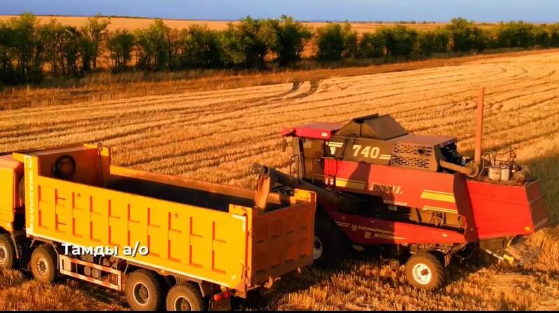 В Алгинском районе собрано более 22 тысяч тонн зерна