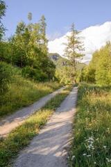 Посадка леса в рамках экологической акции «Таза Қазақстан»