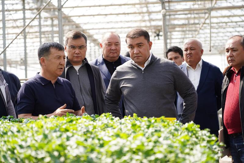 В ТУРКЕСТАНСКОЙ ОБЛАСТИ ВНЕДРЯЮТСЯ ЭКОЛОГИЧЕСКИ ЭФФЕКТИВНЫЕ СПОСОБЫ ОТОПЛЕНИЯ ТЕПЛИЦ