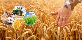 Сельхозпродукции на 296,8 млрд тенге произведено в Актюбинской области