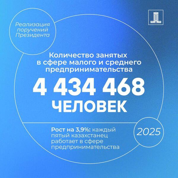 Исполнение поручений Президента по поддержке МСБ: каждый пятый казахстанец работает в сфере бизнеса