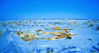 Село Лесное выбрало здоровый образ жизни и отказалось от алкоголя в области Абай