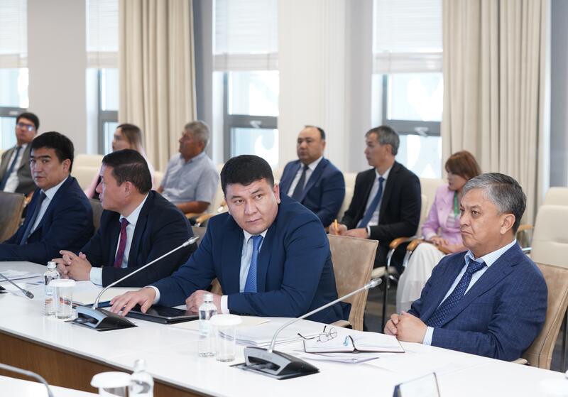 В ТУРКЕСТАНСКОЙ ОБЛАСТИ В 29 ИНДУСТРИАЛЬНЫХ ПАРКАХ ЗАПУЩЕНЫ 98 ПРОЕКТОВ