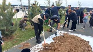 В ОБРАЗОВАТЕЛЬНОМ УЧРЕЖДЕНИИ, ПОСТРОЕННОМ В РАМКАХ ПРОЕКТА «ШКОЛЫ БУДУЩЕГО» В ТУРКЕСТАНЕ, РОДИТЕЛИ И УЧЕНИКИ ВЫСАДИЛИ САЖЕНЦЫ