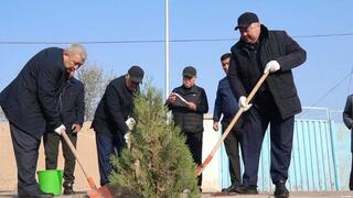 В КЕЛЕСЕ ПРОШЛА ОСЕННЯЯ АКЦИЯ ПО ПОСАДКЕ ДЕРЕВЬЕВ 