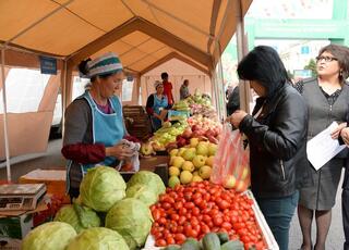 Более 500 тонн продукции будет представлено на сельскохозяйственной ярмарке в Алматы