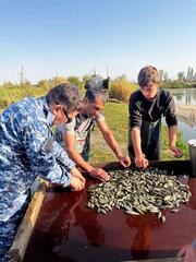 В реку Есиль в Астане будет выпущено 500 тысяч сеголеток карпа и белого амура