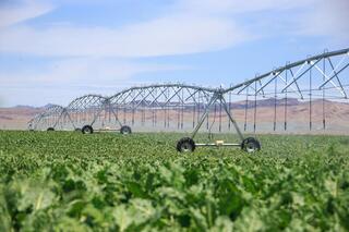 В Ескельдинском районе Жетісу на 1700 гектарах земли применяются влагосберегающие технологии