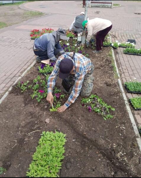 Озеленение Караганды: свыше полутора миллионов цветов украсят город этим летом