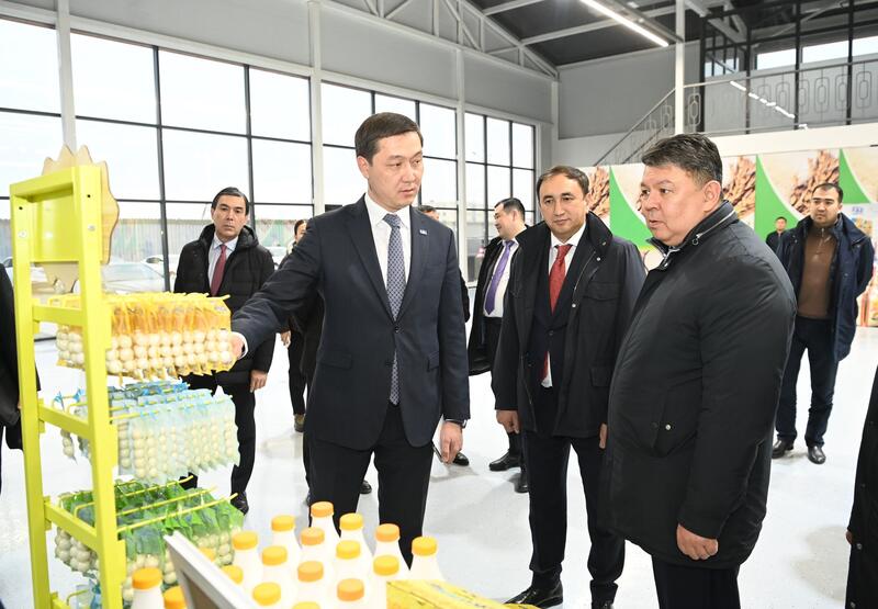 Заместитель Премьер-министра ознакомился с работой малой промышленной зоны «Тумар»