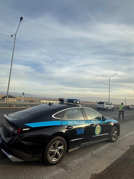 В Туркестанской области приняты меры по стабилизации цен на нефтепродукты и предотвращению незаконных перевозок