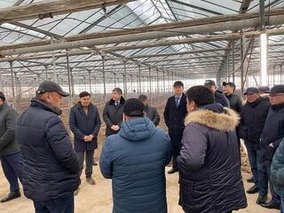 Проблемные вопросы АПК Шымкента обсудил Абулхаир Тамабек с местными аграриями