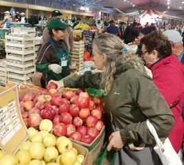 В городе Талдыкорган пройдет ярмарка сельхозпроизводителей Жетісу