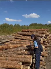 Пресечен ввоз зараженной подкарантинной продукции