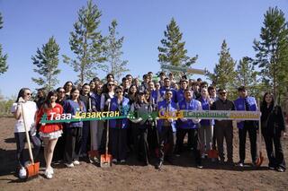 В Астане в честь Дня единства активная молодежь провела массовую посадку деревьев