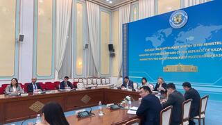 Вице-министр юстиции Ботагоз Жакселекова приняла участие в заседании Диалоговой площадки по человеческому измерению при МИД РК