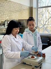 БАД для профилактики онкологических заболеваний разрабатывают казахстанские ученые