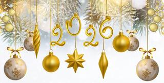 Афиша новогодних концертов в Караганде