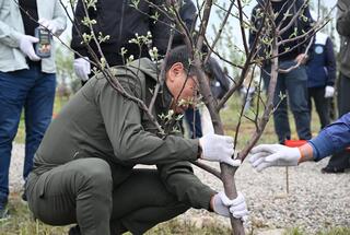 Более 8 тысяч деревьев посажено в рамках республиканской акции «Таза Қазақстан» в Алматы