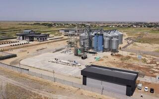 Крахмалопаточный завод мощностью 150 тысяч тонн переработки зерна кукурузы в год запустят в Казахстане