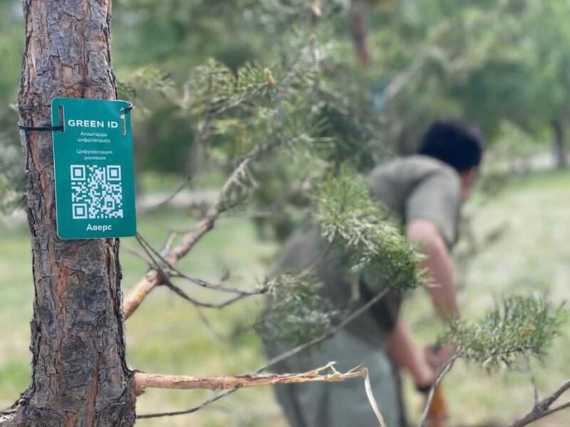 Как Астана преображается в рамках акции «Таза Қазақстан»