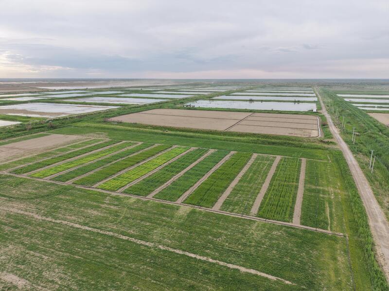 Широко внедряются водосберегающие технологии