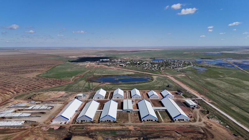 34 тонны молока в сутки производит ферма в Акмолинской области