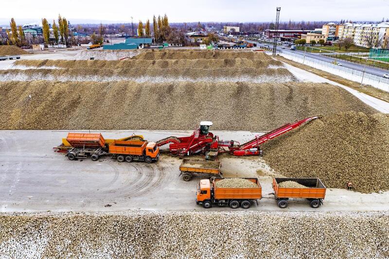 В Жетісу объем переработки производимой в регионе продукции достиг 68%