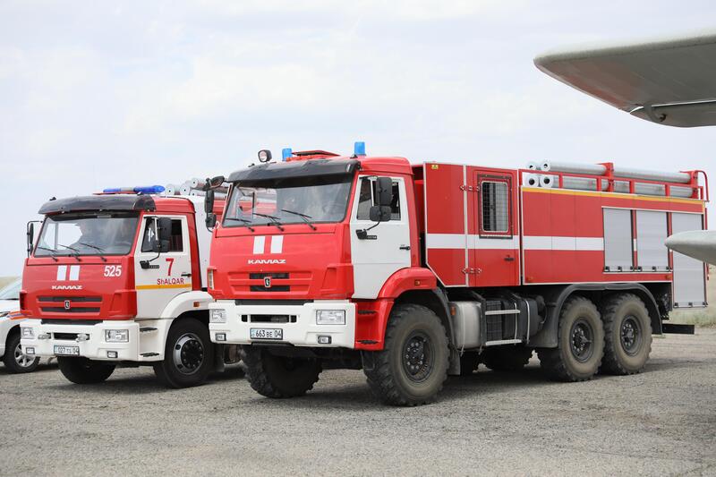 Борьба с саранчой: 850 специалистов мониторят обстановку в Актюбинской области