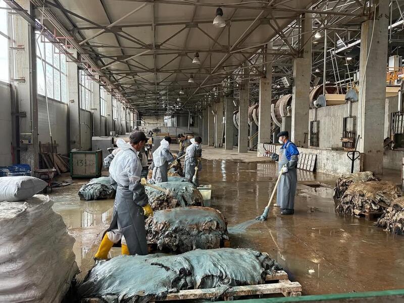 В Западно-Казахстанской области будут перерабатывать более 800 тысяч шкур в год