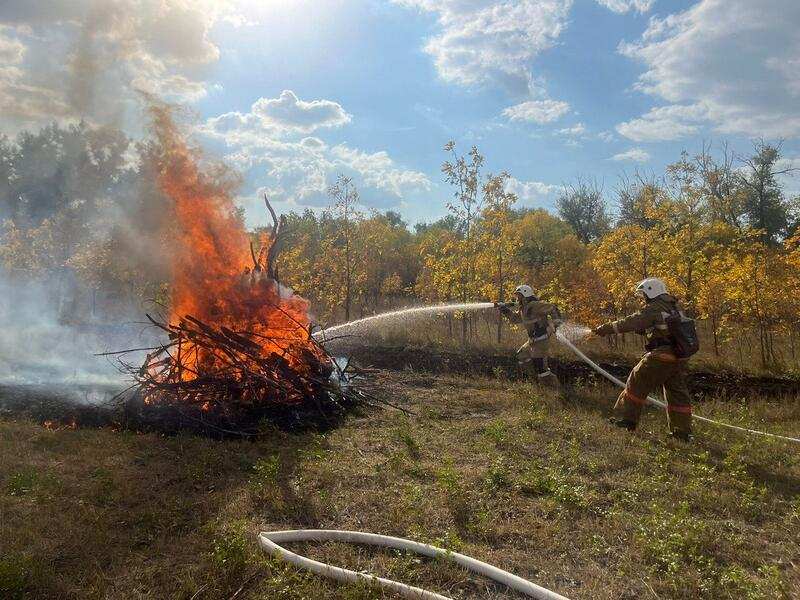 Пожарно-тактическое учение по отработке мер тушения пожаров в лесных массивах